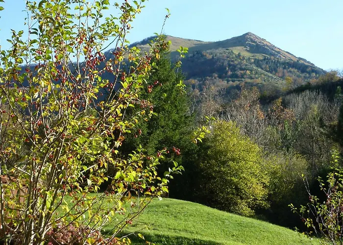 Le Rey Kamp alanı Louvie Juzon